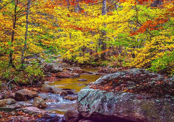 Gulin, Sylvia 아티스트의 USA-New Hampshire-New England-Jackson small stream surrounded in Fall color작품입니다.